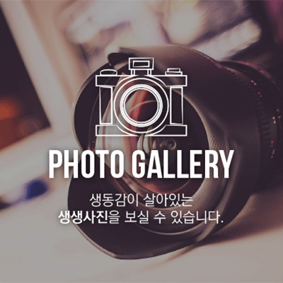 포토갤러리 [생생사진]