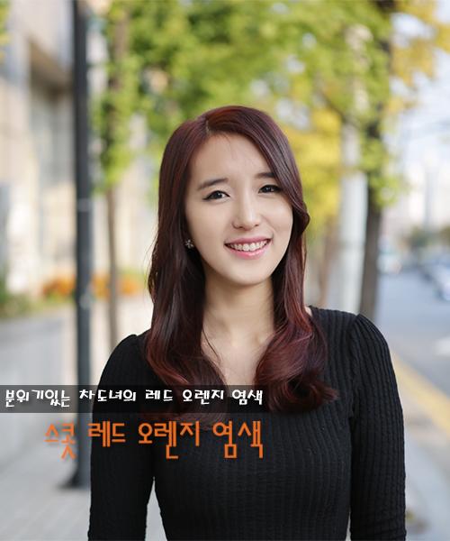 스콧 레드 오렌지 염색