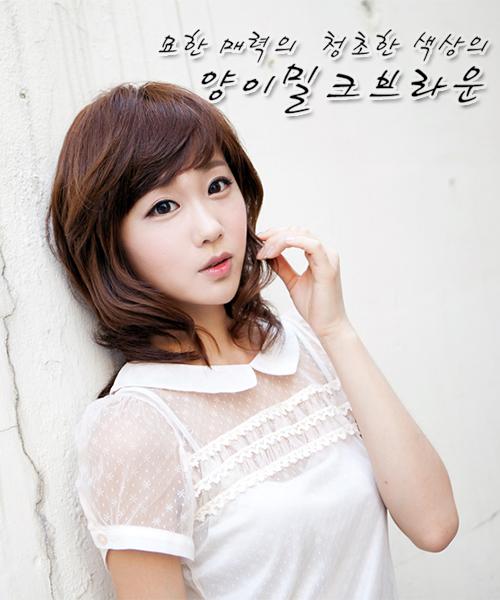 양이 밀크브라운