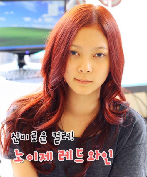 노이제 레드와인