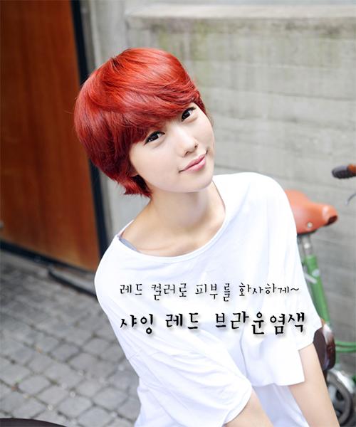 샤잉 레드 브라운 염색