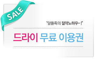 드라이 무료 이용권
