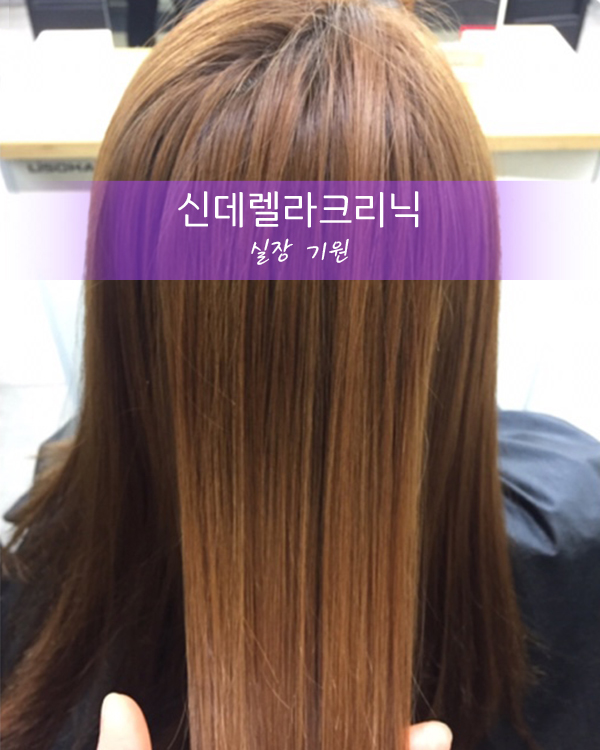신데렐라크리닉 by기원실장